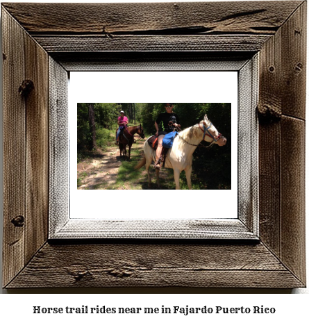 horse trail rides near me in Fajardo, Puerto Rico